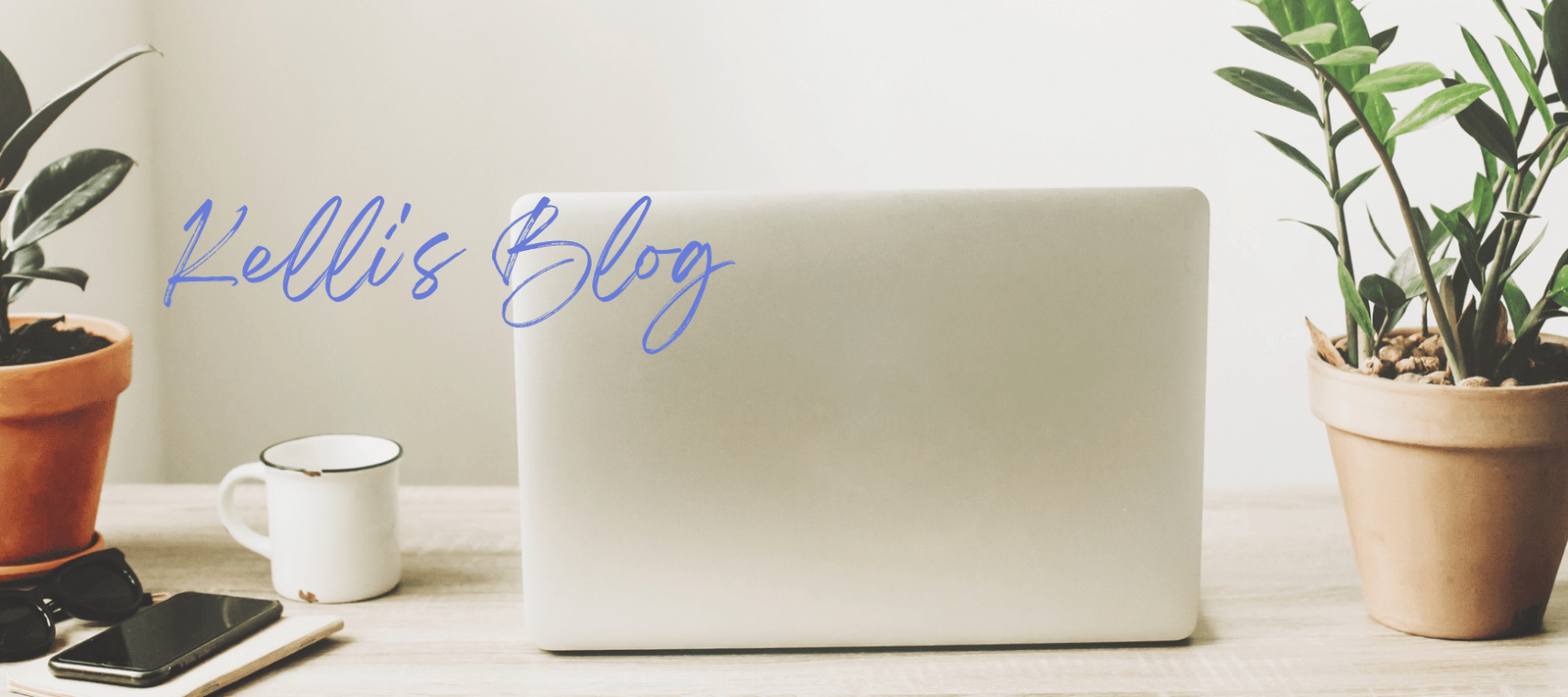 Kelli's Blog banner, Parisian's Pure Skincare