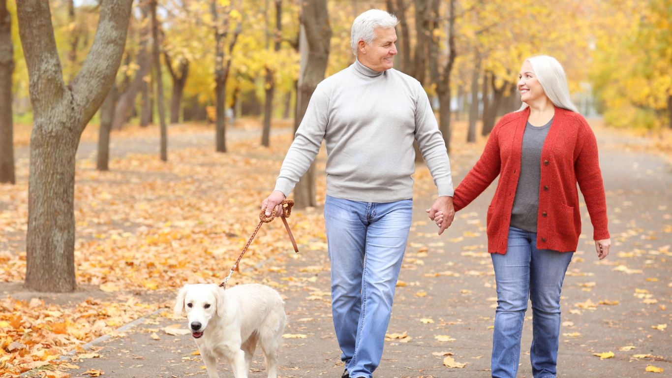 couple walking their dog holding hands